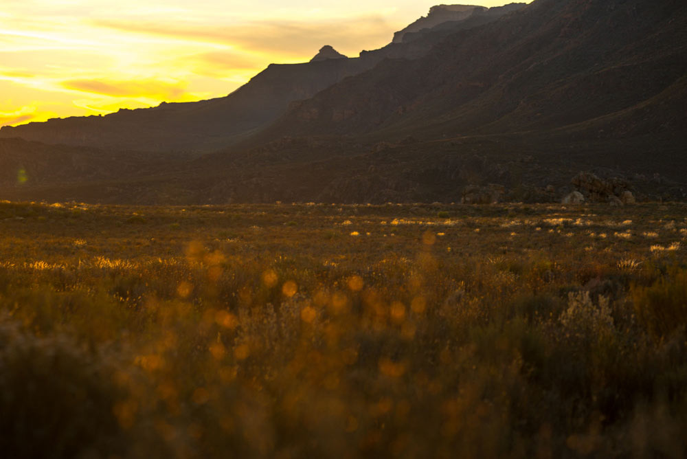 onceuponaclimb-jamespearson-ciavaldini-southafrica-thesearch-5